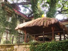 -普陀山雷迪森庄园
