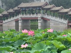 -西海子公园