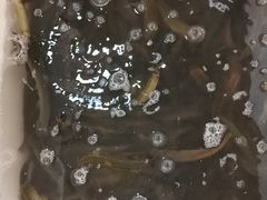 -夏家大锅台炖鱼馆