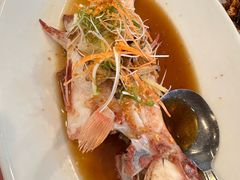蒸七星斑-大茄来海鲜餐厅(亚洲城分行)
