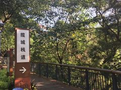 -金鸡山公园