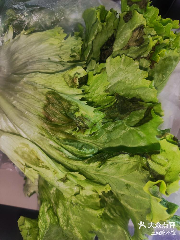 0元玩转这座城 其实体验感还好的