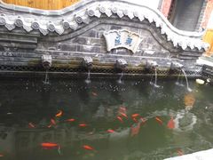 -老张烤羊(王哥庄店)