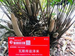 -华南国家植物园-售票处