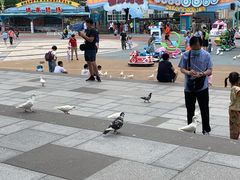 -烟台海昌鲸鲨海洋公园