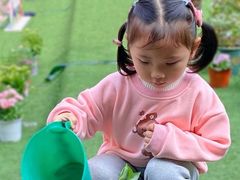 -金豆子幼稚园