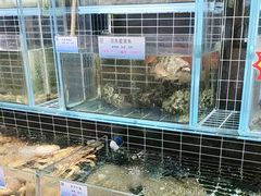 -宏运厨房·海鲜青岛菜·生日宴(城市阳台店)