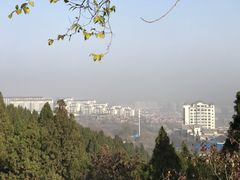 -原山国家森林公园