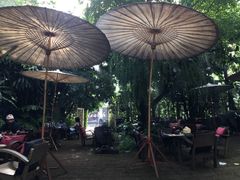 -Fern Forest Cafe