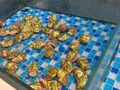-养牛邓·潮汕牛肉海鲜自助火锅(广州店)