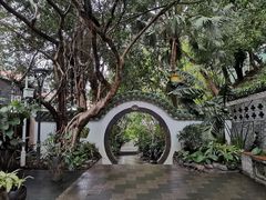 -梧桐山风景名胜区