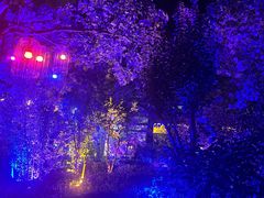 -济南方特东方神画