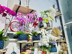 -FEI FEI FLOWER鲜花店·气球派对·宝宝宴布置(虹口德必运动Loft店)