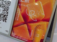 -雾与山茶(大禹城店)