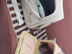 -东日国际动物医院·CT·心脏专科(桃源分院)