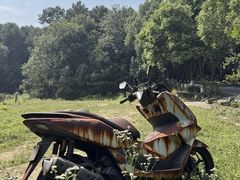 -铁山坪森林公园