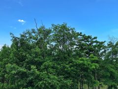 -白鹭湾湿地公园