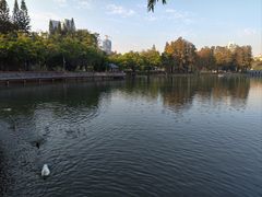 -四海公园(南山区)