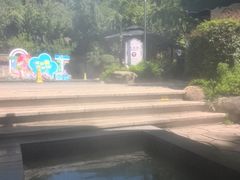 -融汇温泉