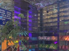 -K歌之王量贩式KTV(洪楼店)