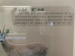 -北京麋鹿生态实验中心