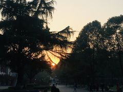 -四川大学(望江校区)