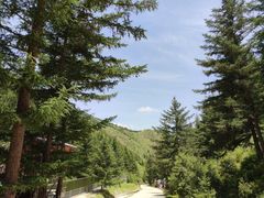 -苏木山森林公园