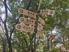 -神光山国家森林公园