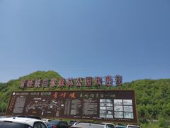 -青峰峡国家森林公园