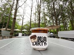 -陆家嘴中心绿地