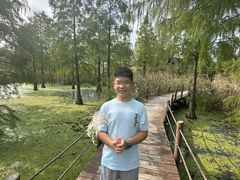 -池杉湖湿地公园