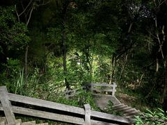 -广州市白云山风景名胜区