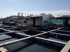 -蓝湾碧波·老字号·疍家非遗海上餐厅