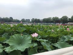 -小王府(什刹海店)