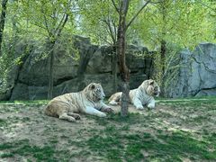 -北京野生动物园