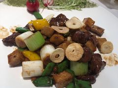 杏鲍菇豆角焗牛肉-小厨娘淮扬菜(天印大道店)