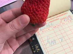 -深圳市海吉星国际农产品物流管理有限公司