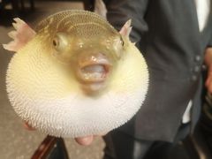 -永安鱼庄·镇江菜(东吴路店)