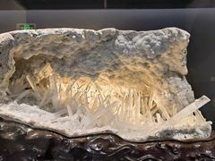 -贵州省地质博物馆