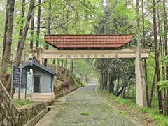 -午潮山国家森林公园