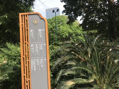 -望江楼公园