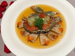 -子福慧(虹桥店)