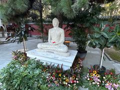 -护国法轮寺