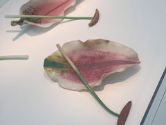 -康宁玻璃博物馆