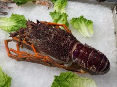 -聚福宝合苑食府(南头镇店)