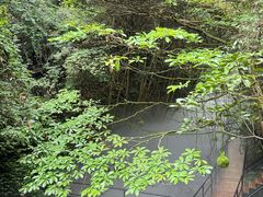 -夏霖九天银瀑风景区