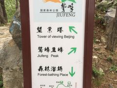 -北京鹫峰国家森林公园