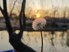 -狼山风景名胜区