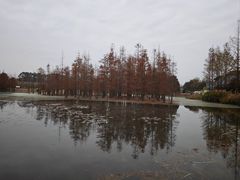 -白鹭湾湿地公园