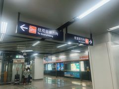 -临平南高铁站(地铁站)